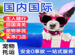 肥东白龙航空运输国际宠物托运 【国